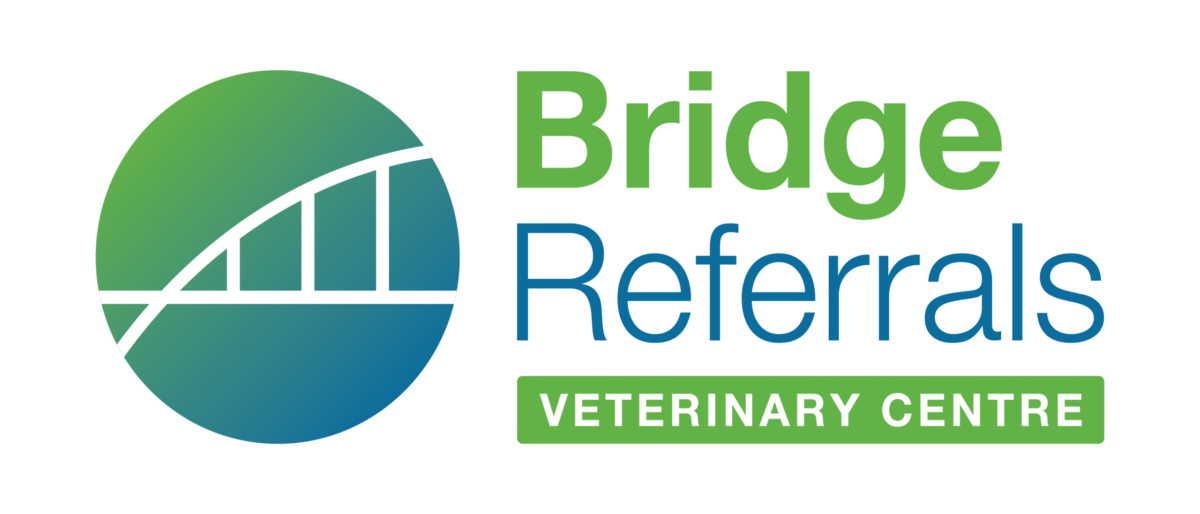 Bridge Referrals Logo
